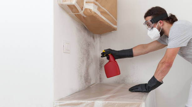 Professional Mold Inspection technician working in Wellington, TX