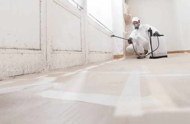 24/7 Emergency Mold Inspection experts in Wellington, TX