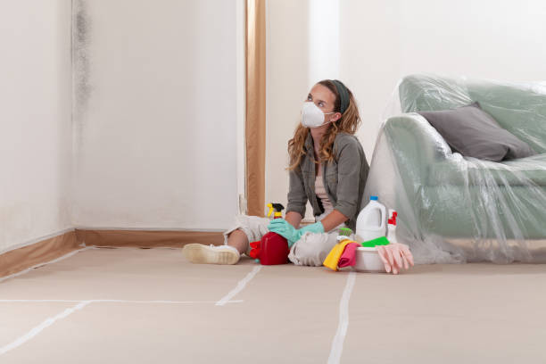 Reliable Mold Remediation contractor in Wellington, TX by Cheap Mold Removal